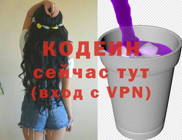 молекула духа Алзамай