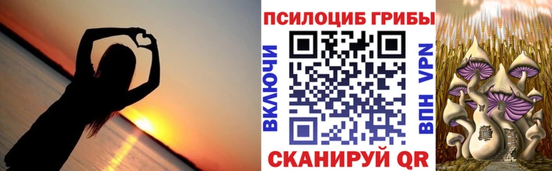 закладки Ессентукская Галлюциногенные грибы MAGIC MUSHROOMS